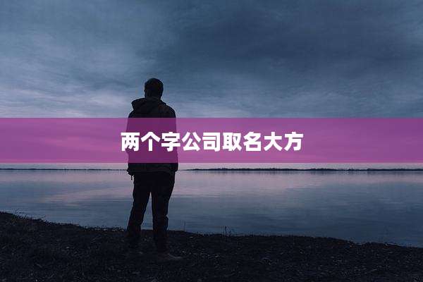 两个字公司取名大方