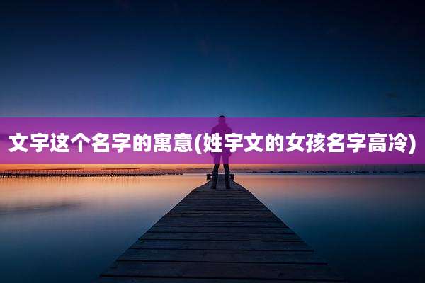 文宇这个名字的寓意(姓宇文的女孩名字高冷)