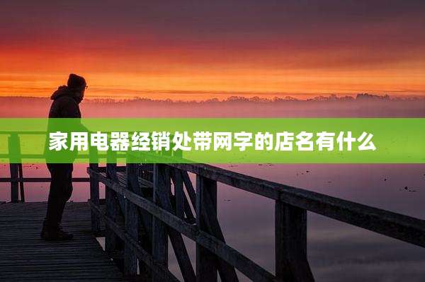 家用电器经销处带网字的店名有什么
