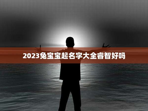 2023兔宝宝起名字大全睿智好吗