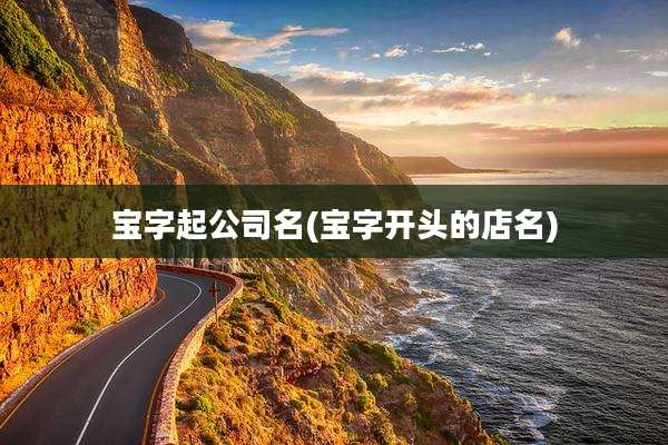 宝字起公司名(宝字开头的店名)