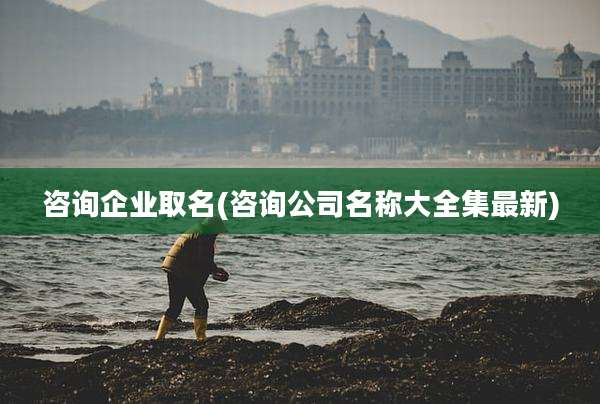 咨询企业取名(咨询公司名称大全集最新)