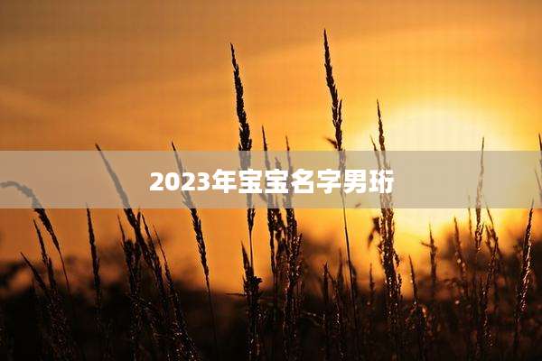 2023年宝宝名字男珩
