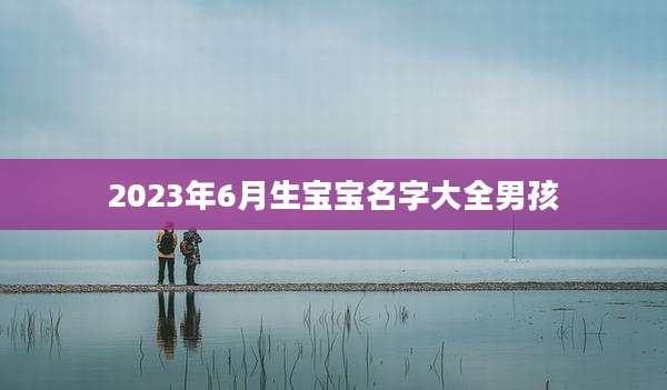 2023年6月生宝宝名字大全男孩
