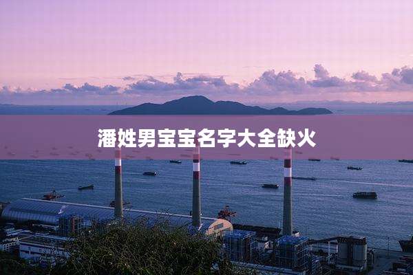 潘姓男宝宝名字大全缺火