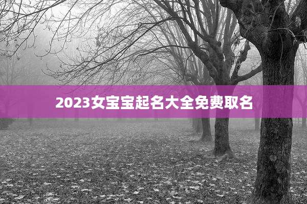 2023女宝宝起名大全免费取名