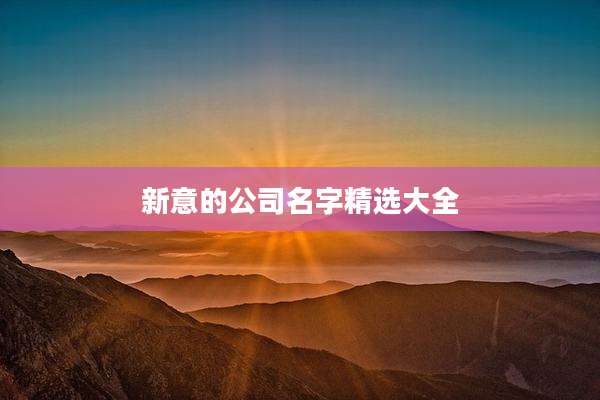 新意的公司名字精选大全
