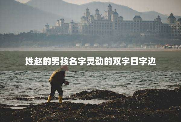 姓赵的男孩名字灵动的双字日字边