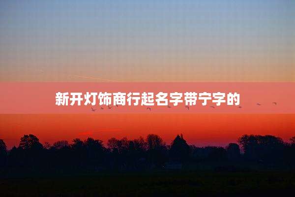 新开灯饰商行起名字带宁字的