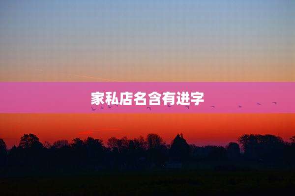家私店名含有进字