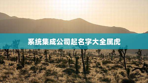 系统集成公司起名字大全属虎