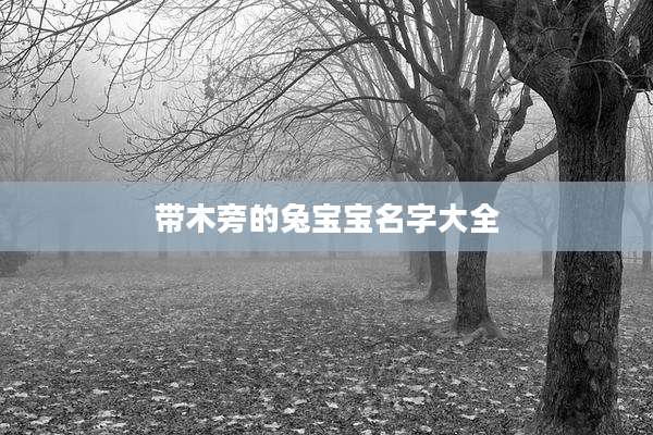带木旁的兔宝宝名字大全