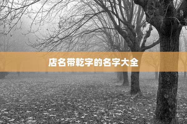 店名带乾字的名字大全