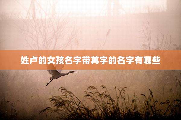 姓卢的女孩名字带苒字的名字有哪些