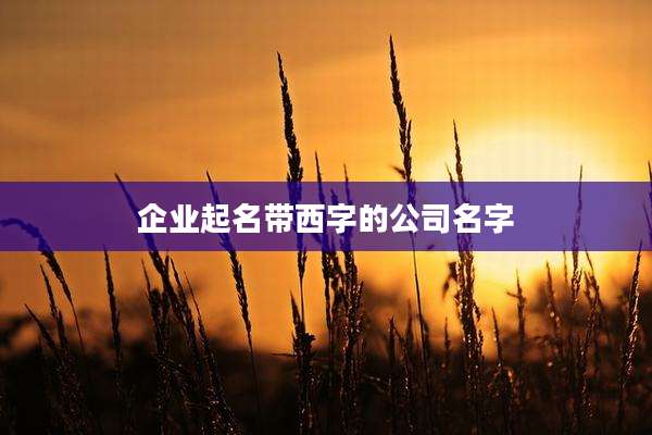 企业起名带西字的公司名字