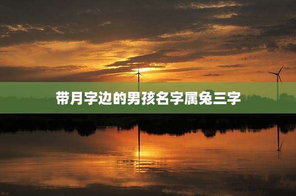 带月字边的男孩名字属兔三字