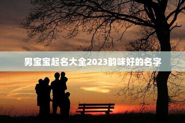 男宝宝起名大全2023韵味好的名字