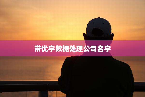 带优字数据处理公司名字