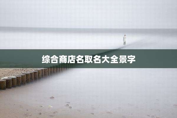 综合商店名取名大全景字
