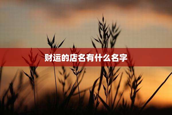 财运的店名有什么名字
