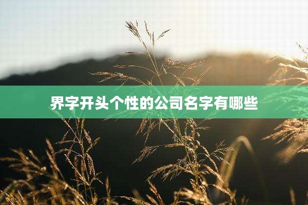 界字开头个性的公司名字有哪些
