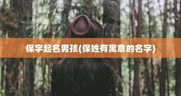保字起名男孩(保姓有寓意的名字)
