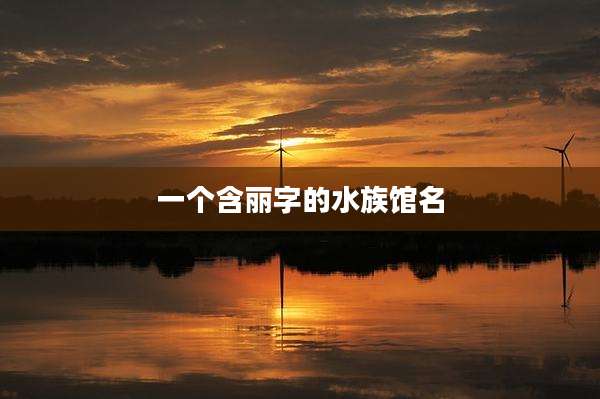 一个含丽字的水族馆名