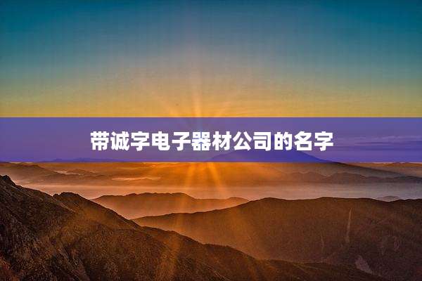 带诚字电子器材公司的名字