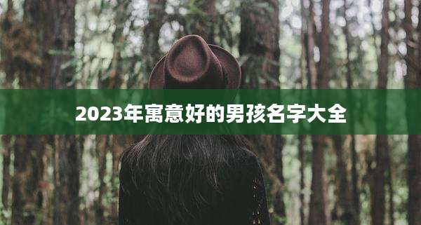 2023年寓意好的男孩名字大全