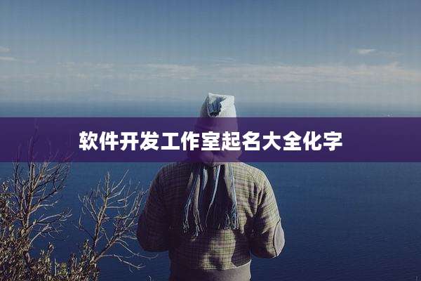 软件开发工作室起名大全化字