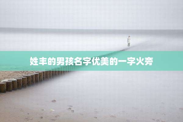姓丰的男孩名字优美的一字火旁