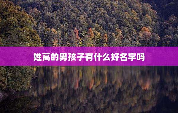 姓高的男孩子有什么好名字吗