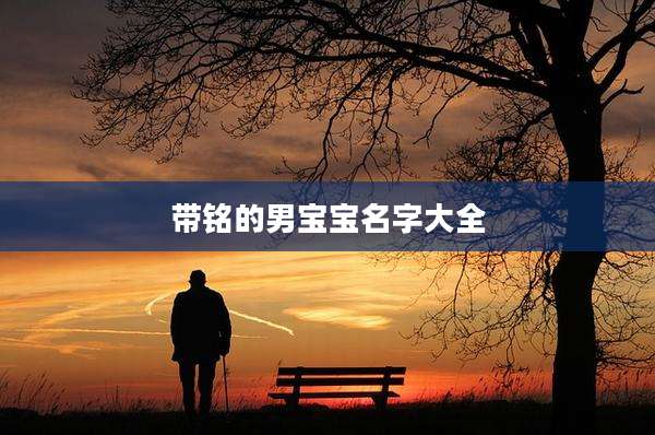 带铭的男宝宝名字大全
