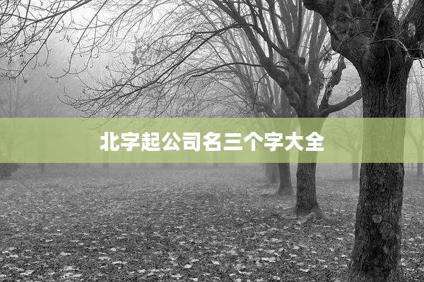 北字起公司名三个字大全