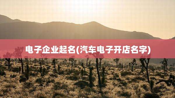 电子企业起名(汽车电子开店名字)