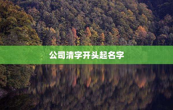 公司清字开头起名字