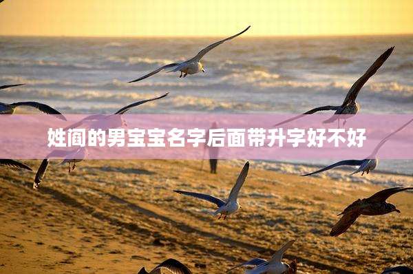 姓阎的男宝宝名字后面带升字好不好