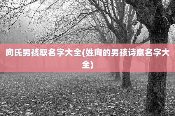 向氏男孩取名字大全(姓向的男孩诗意名字大全)
