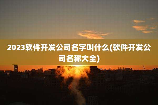 2023软件开发公司名字叫什么(软件开发公司名称大全)