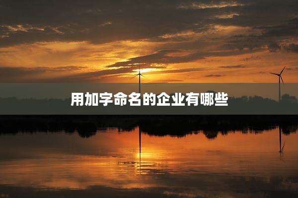 用加字命名的企业有哪些