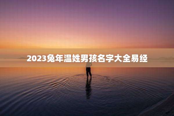 2023兔年温姓男孩名字大全易经