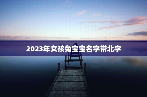 2023年女孩兔宝宝名字带北字