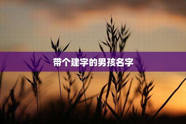 带个建字的男孩名字