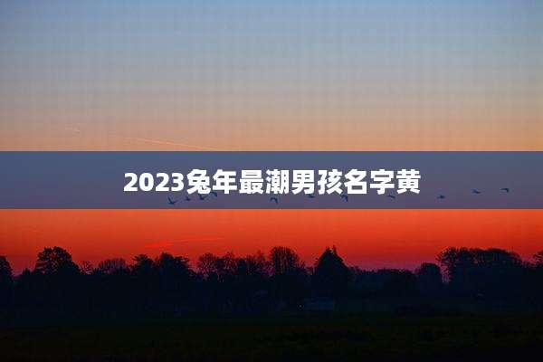 2023兔年最潮男孩名字黄