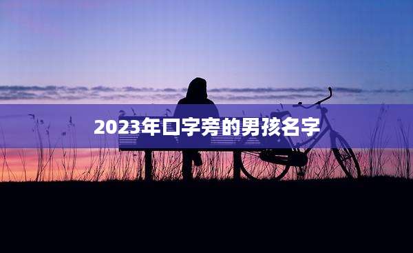 2023年口字旁的男孩名字