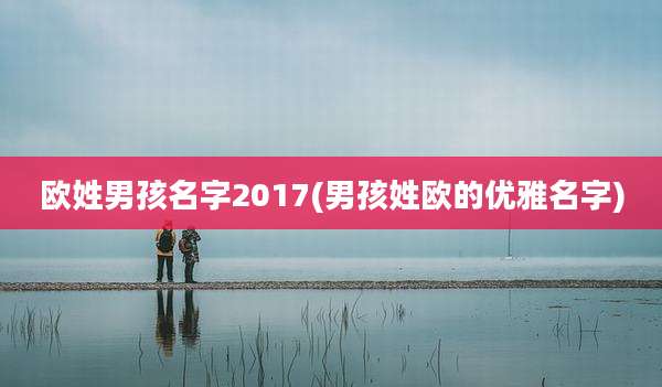 欧姓男孩名字2017(男孩姓欧的优雅名字)