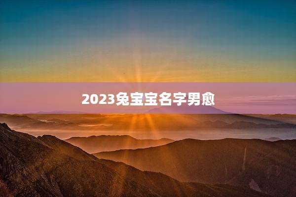 2023兔宝宝名字男愈