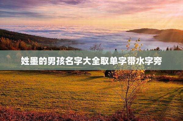 姓墨的男孩名字大全取单字带水字旁