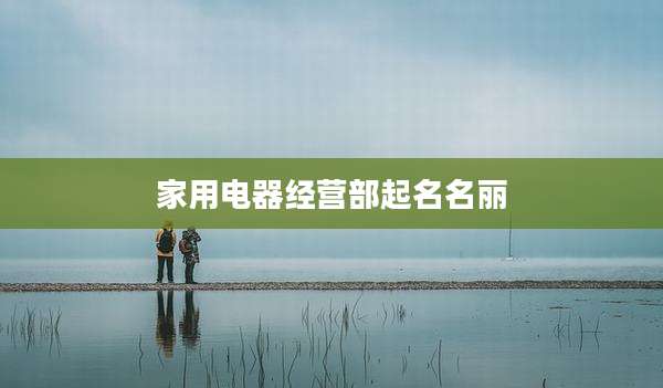 家用电器经营部起名名丽