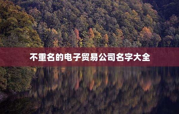 不重名的电子贸易公司名字大全